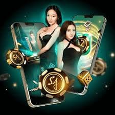 Responsible use of Fortune Dragon on 4567bd for adult Bangladesh players